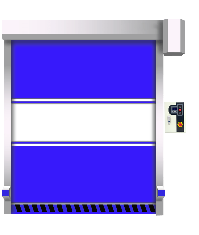 hinh anh cua cuon nhanh mau